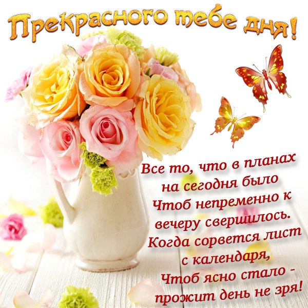 Добрые пожелания на каждый день