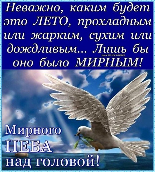 Мирного неба над головой