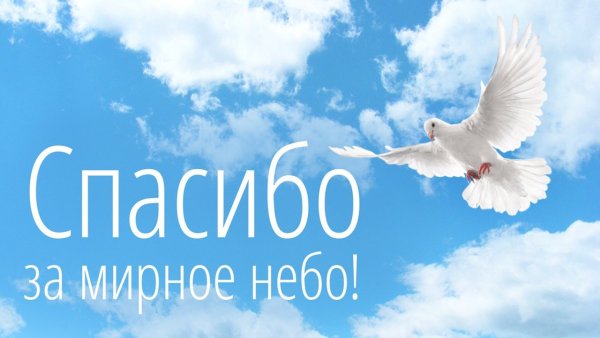 Мирного неба над головой