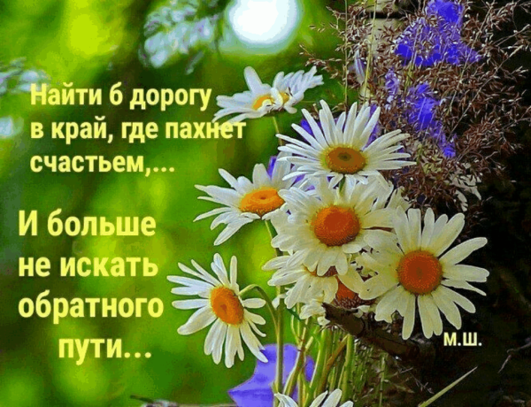 С добрым утром пусть жизнь радует