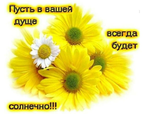 Пусть в душе будет солнечно