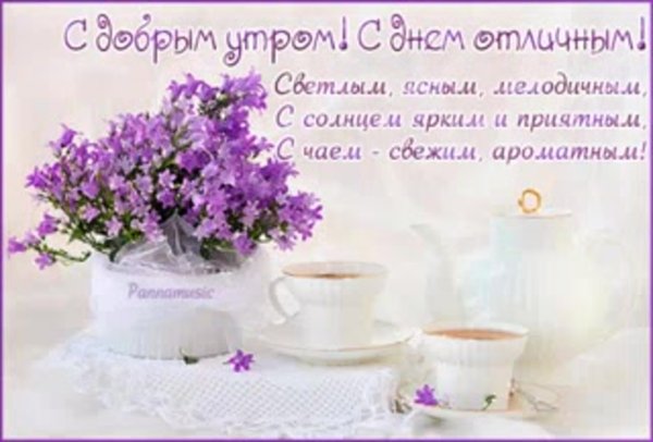 Красивые пожелания с добрым утром и хорошего дня