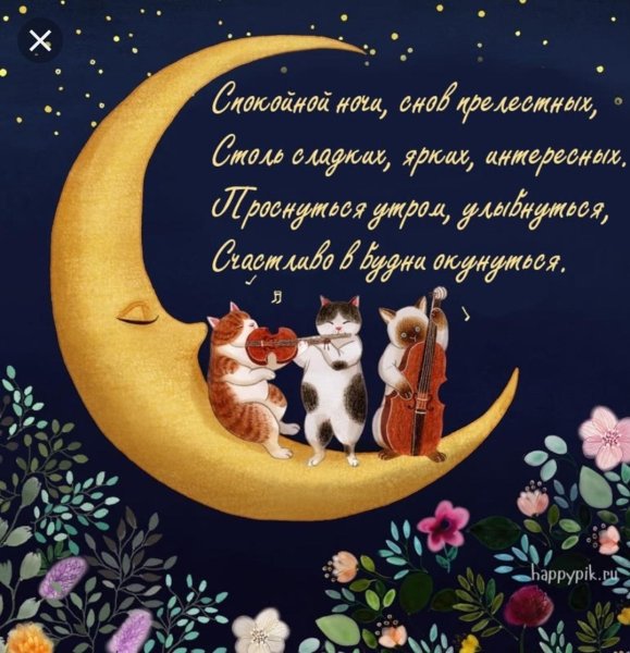 Веселые открытки для ночи