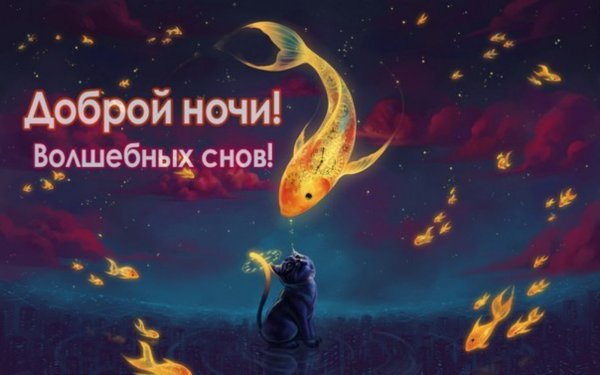 Спокойной ночи кошечка