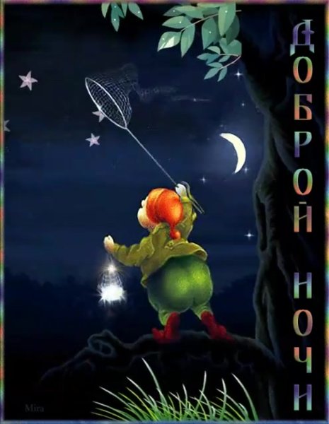 Сказочный сон