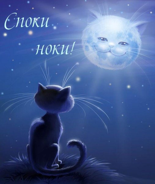 Спокойной ночи звезды