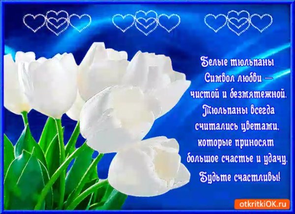 Тюльпаны с пожеланиями