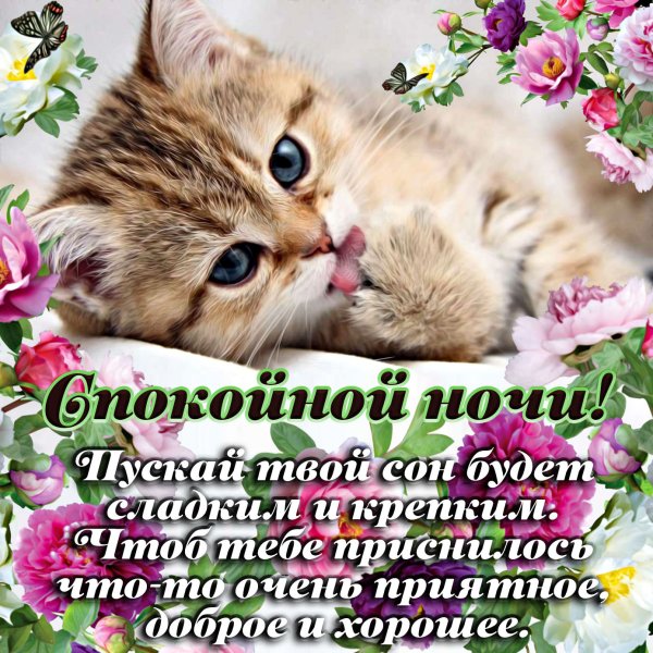 Пожелания спокойной ночи
