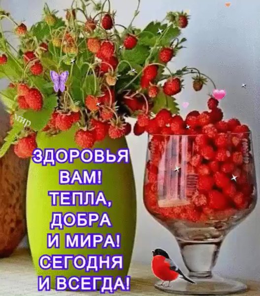 Хорошего дня и здоровья