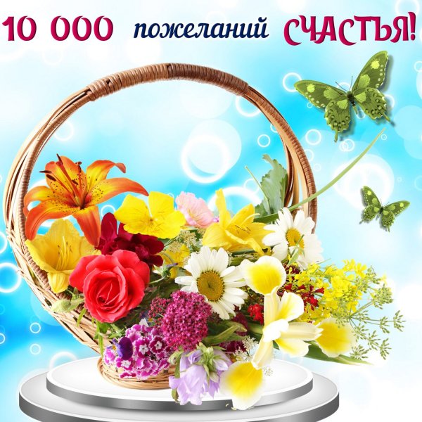 Корзинки с цветами и пожелания