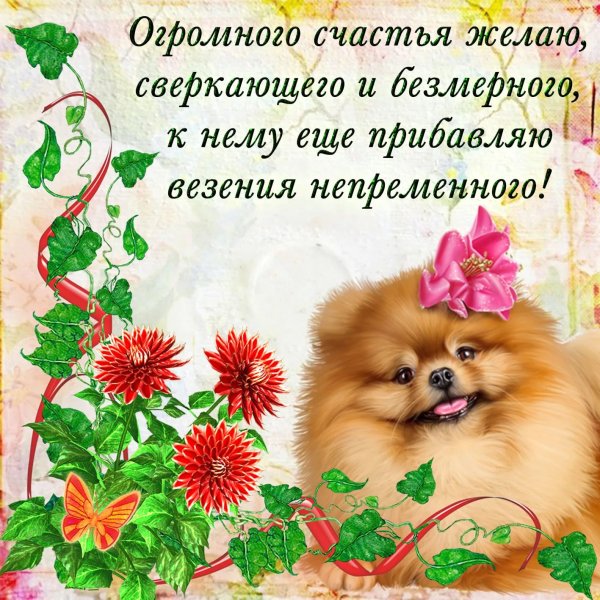 Открытки с днем рождения со шпицем