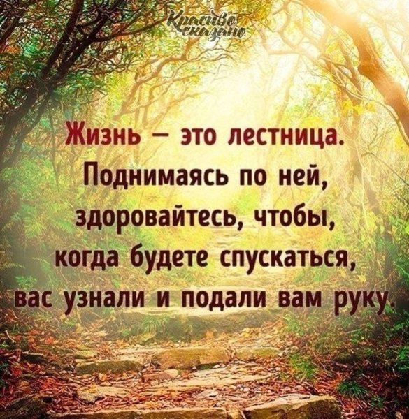 Жизнь это лестница поднимаясь по ней здоровайтесь