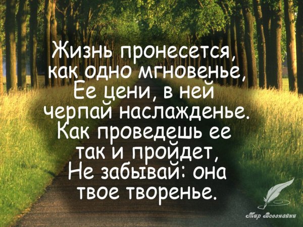 Умные высказывания