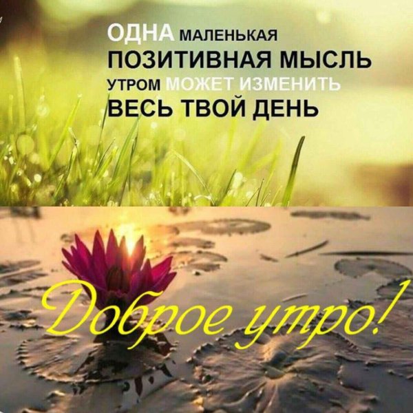 Позитивные высказывания