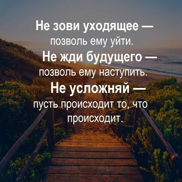 Цитаты и высказывания