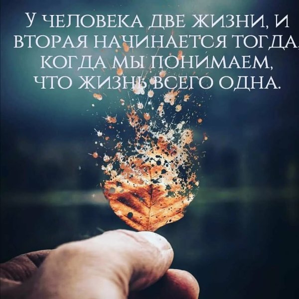 Красивые цитаты