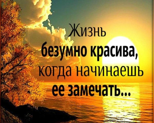 Живи ярко цитаты