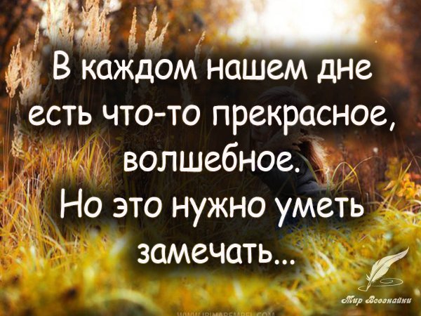 Афоризмы о душевном тепле