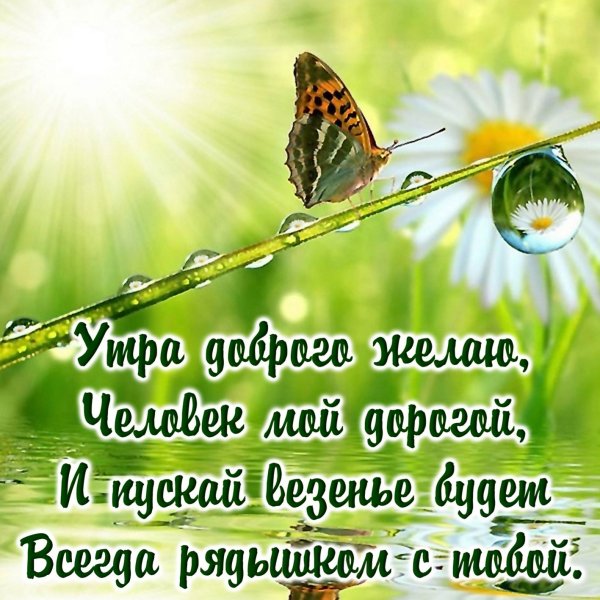 Пожелания доброго утра