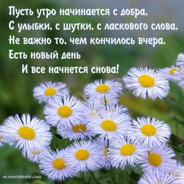 Красивые поздравления с добрым утром природа