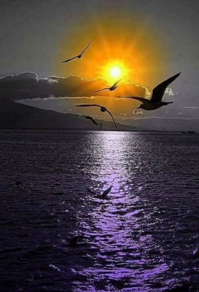 Желаю снов что слаще меда