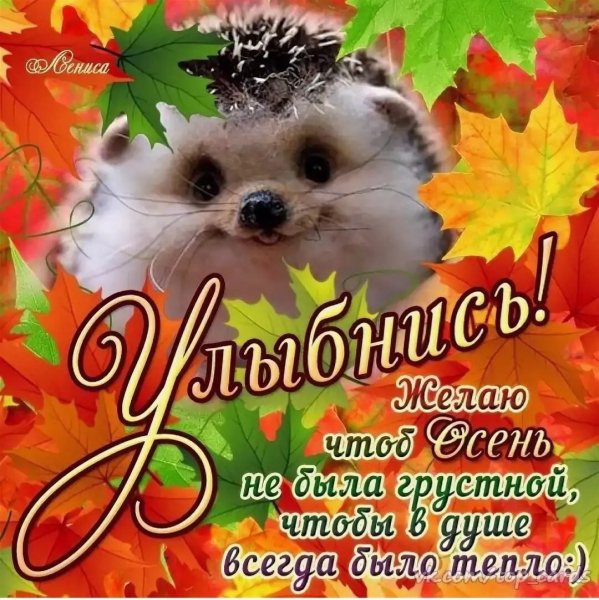 Оригинальные осенние пожелания