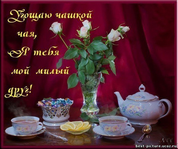 Чашкой чая угощаю