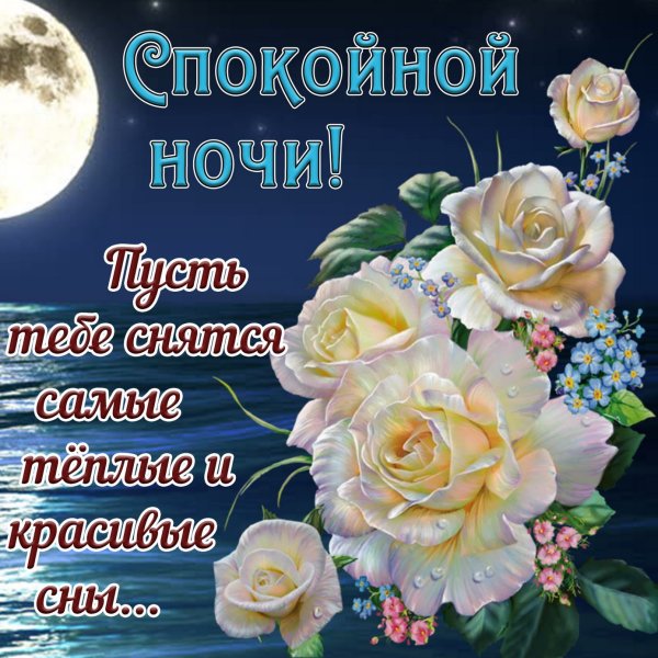 Пожелания спокойной ночи любимой девушке