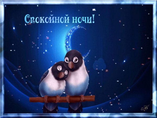 Доброй ночи друзья