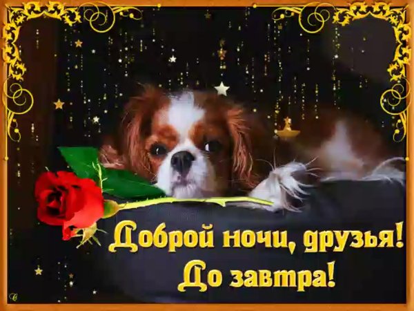 Спокойной тихой ночи