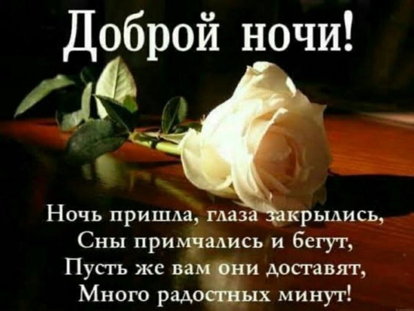 Цветы с пожеланием спокойной ночи