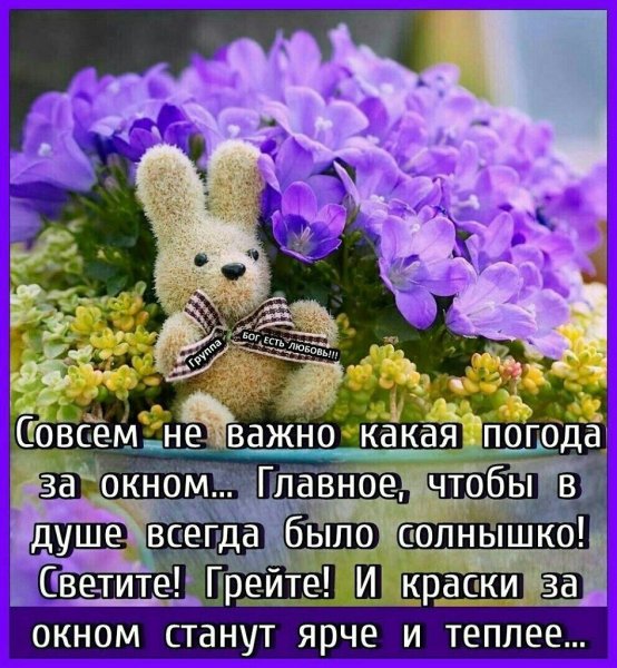 Пожелания хорошего дня, настроения и спокойствия душевного