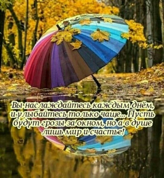 Доброе осеннее утро цитаты