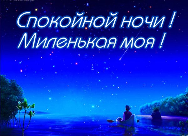 Доброй ночи любимая