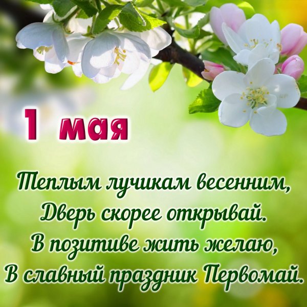 Зимние открытки с днем рождения