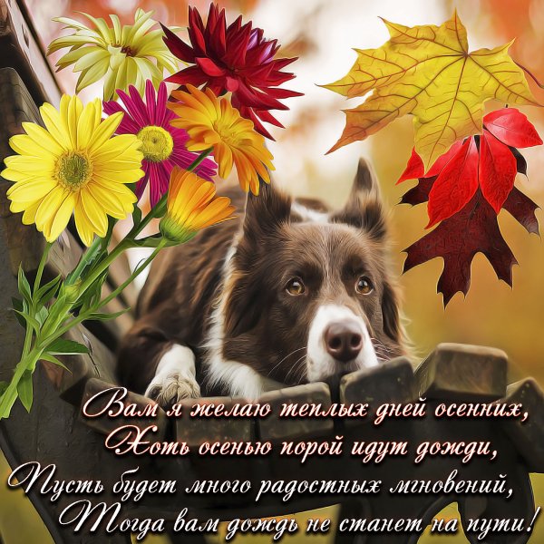 Осенние пожелания