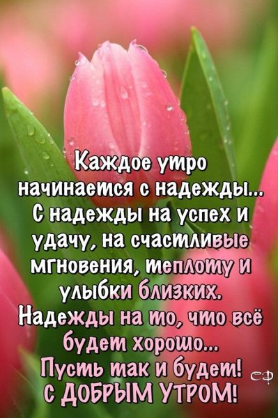 Доброе утро цитаты