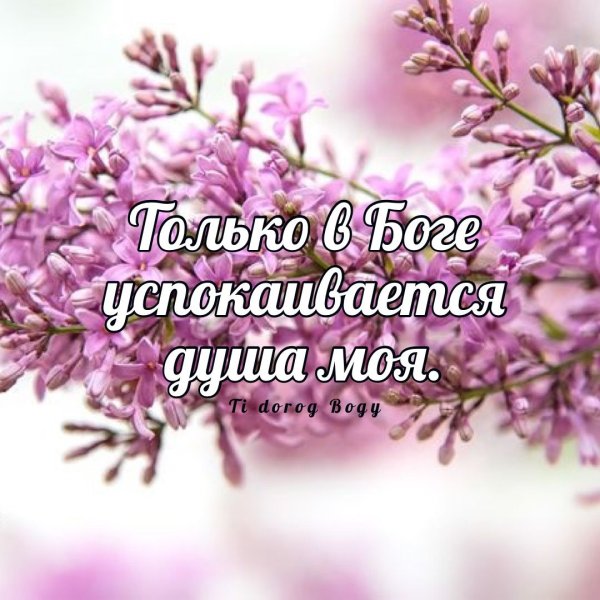 Красивые поздравления с добрым утром природа