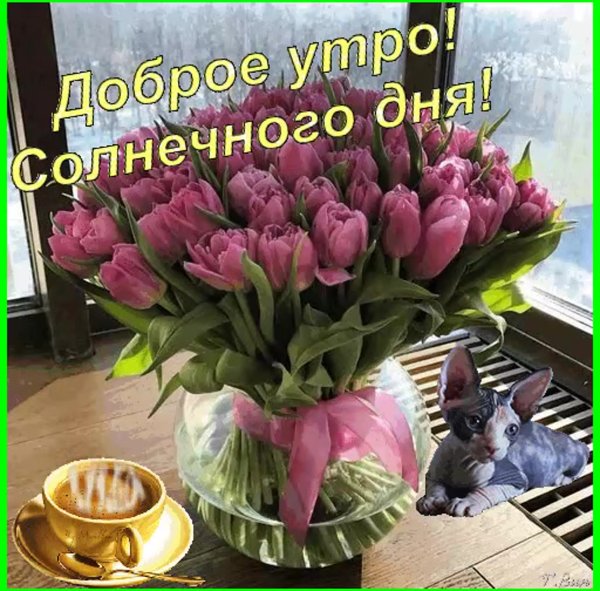 Доброго воскресного дня Весна