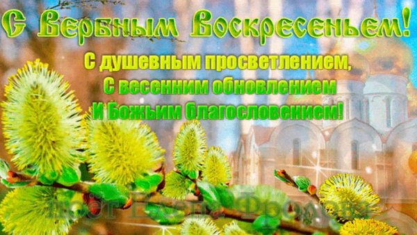 Веточка вербы