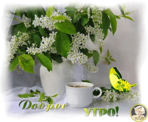 Доброе Майское утро