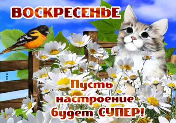 Открытки хорошего весеннего воскресенья