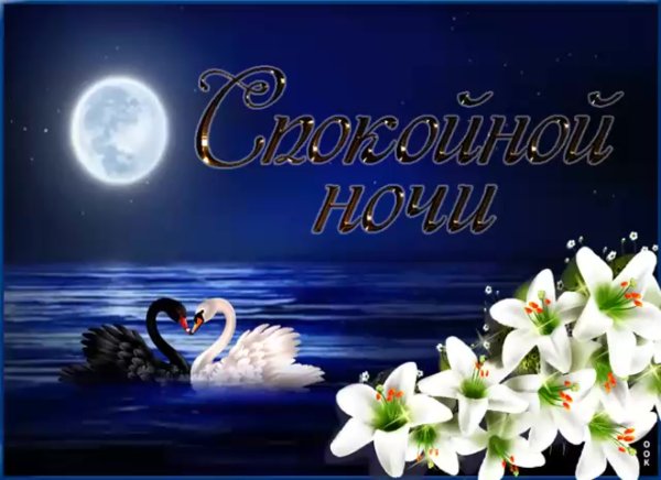 Спокойной ночи