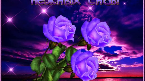 Открытки спокойной ночи