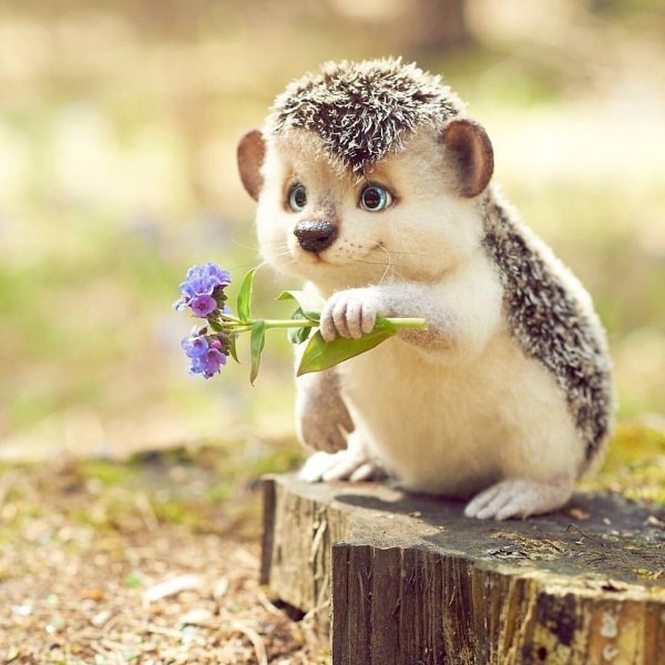 Хорошего настроения картинки прикольные