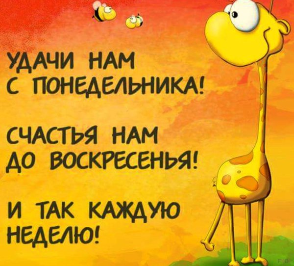 Цитаты про понедельник
