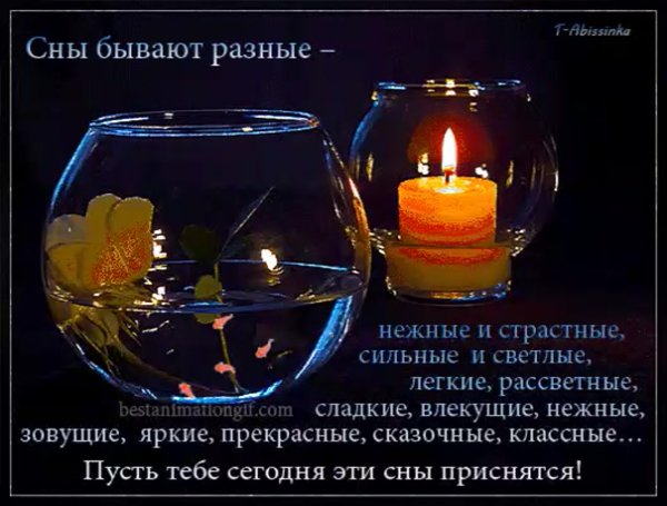 Добрый вечер и спокойной ночи в стихах