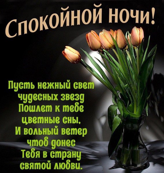 Стихи спокойной ночи