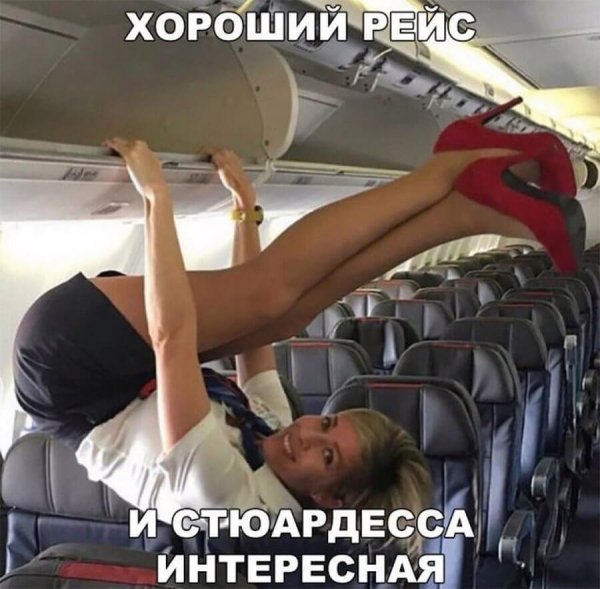 Мультфильм вверх летающий дом