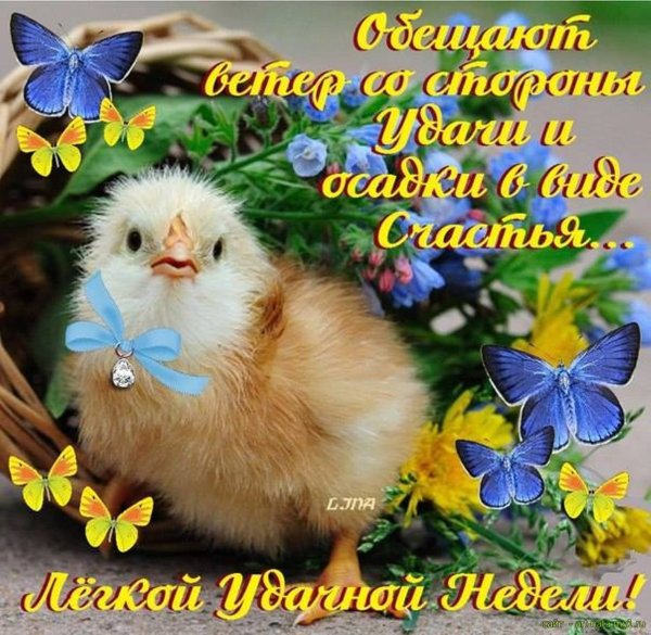 Хорошей весенней недели